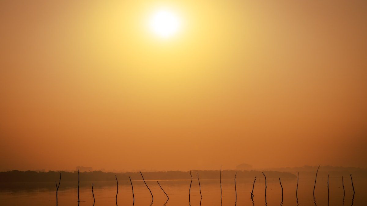 기타 — 수비학이란? 생년월일로 보는 숫자 운명학 완벽 가이드 2026