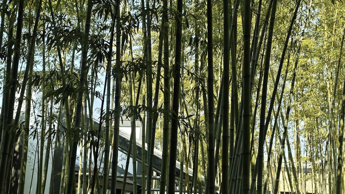 기타 — 소띠 2026년 운세 총정리 | 1961·1973·1985·1997·2009년생 종합운