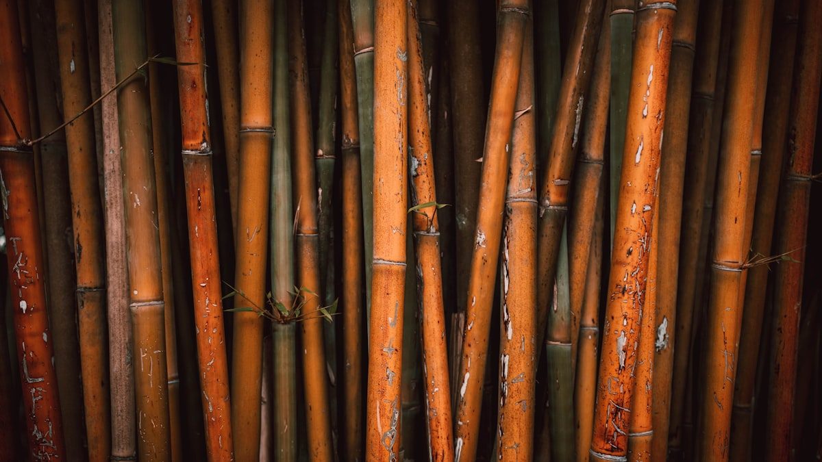 기타 — 토끼띠 2026년 운세 총정리 | 1963·1975·1987·1999·2011년생 종합운